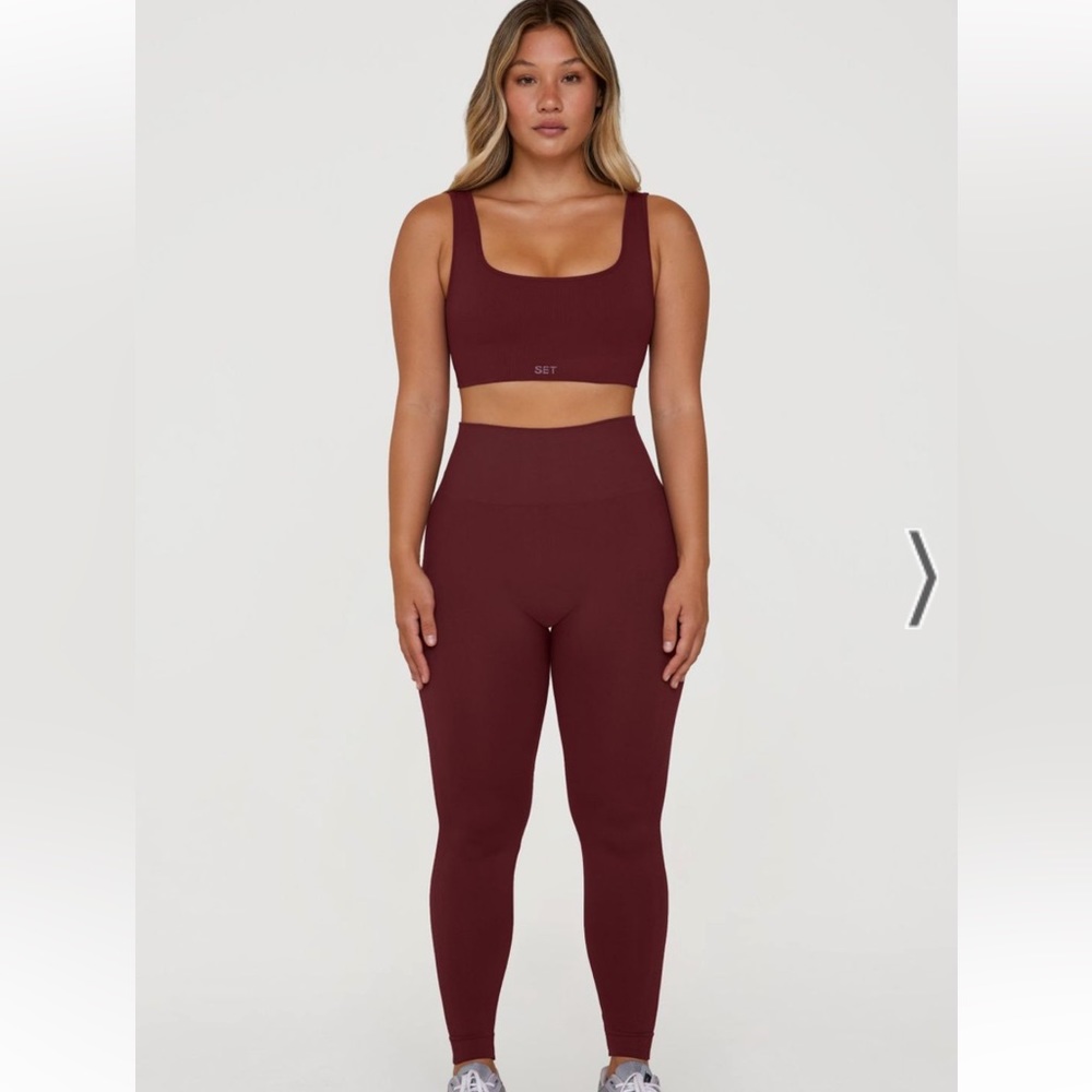 NWT SETactive Sculptflex Leggings in Hug - S